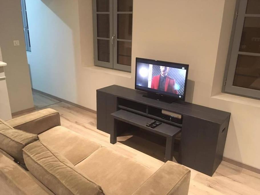 Appartement Touristique, Proche De La Cathedrale Albi Ngoại thất bức ảnh