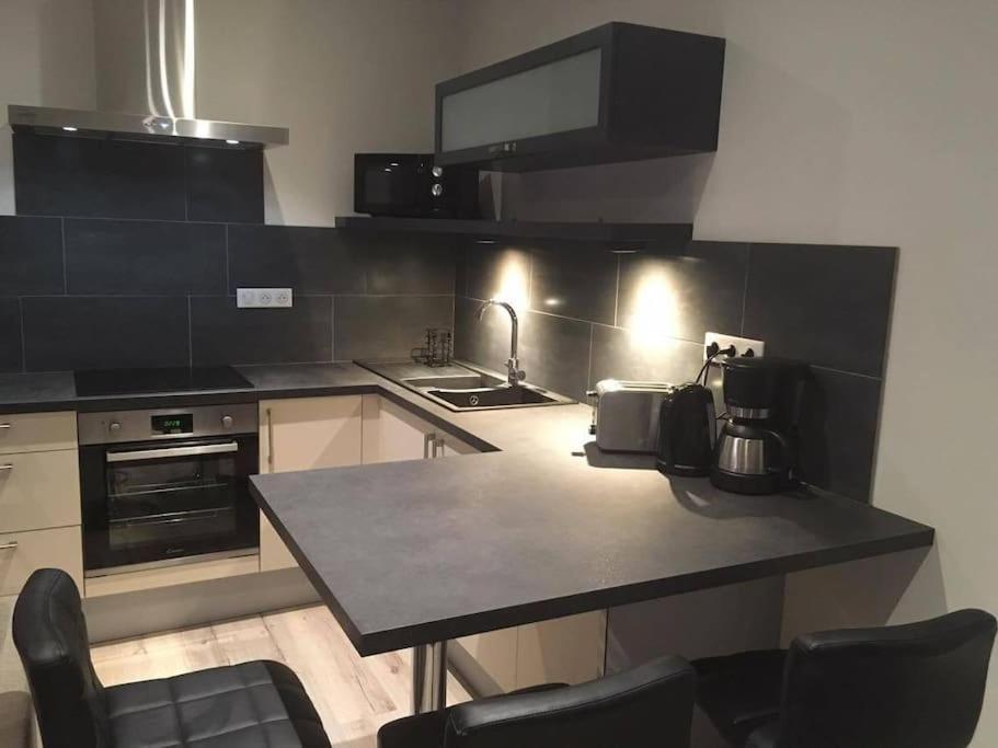 Appartement Touristique, Proche De La Cathedrale Albi Ngoại thất bức ảnh